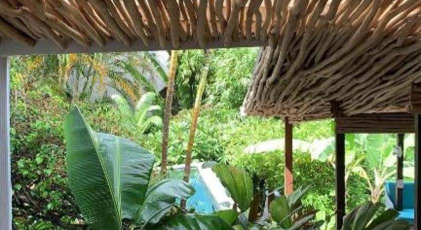 Bamboojam Villa Las Terrenas Exterior photo
